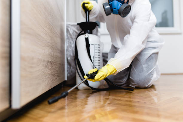 Best Best Pest Control Companies  in El Lago, TX